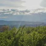 La Buonora 3* 希尼奥