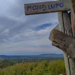 Bed & Breakfast La Buonora Sinio