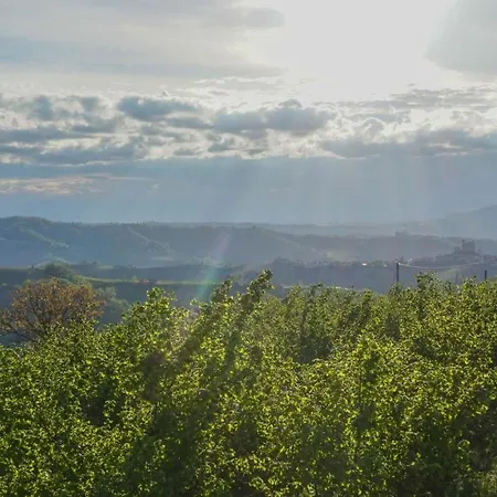 La Buonora 3* Sinio