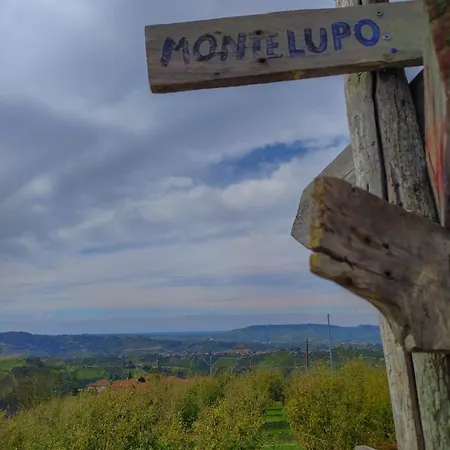 Bed & Breakfast La Buonora Sinio