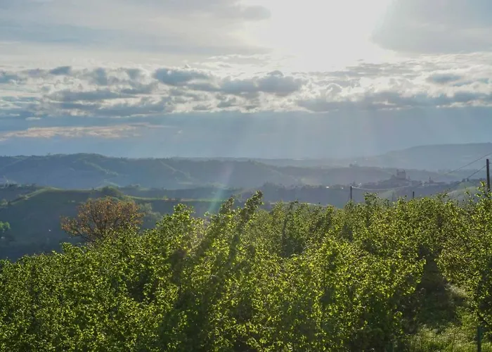 La Buonora 3* Sinio
